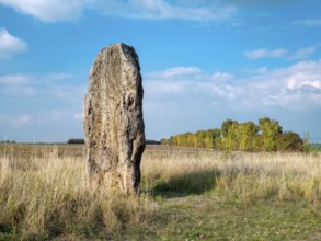 The menhir of Derenburg, height 2, 9m, Wernigerode, Harzvorland, Saxony-Anhalt, Germany