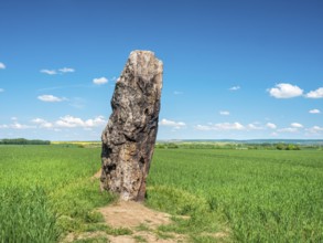 The menhir of Benzingerode, with a height of 3.85 m the largest prehistoric menhir in northern
