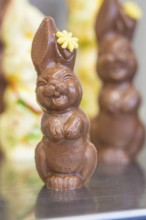 Chocolate bunny made from milk chocolate with a small yellow flower as decoration, Easter