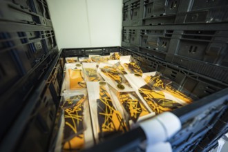 Chocolate packaging stacked in a box with modern design, Easter production of regional products,