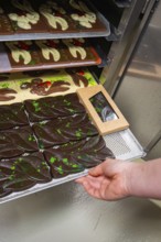 Hand pulls a tray with chocolate bars and chocolates out of the oven, Easter production of regional