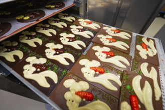 Chocolate bars decorated with Easter bunny pattern and carrot motif, Easter production of regional