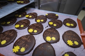 Chocolate eggs with yellow flowers and Easter greetings, lined up on a baking tray, Easter