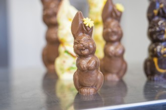Chocolate bunnies in various sizes as classic Easter decoration, Easter production of regional