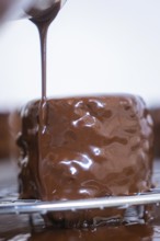 Close-up of a cake being poured over with liquid chocolate, Vegan Tart Production, Haselstaller