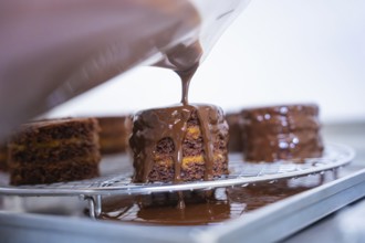 Liquid chocolate is poured over a cake on a grid in a kitchen, Vegan Tart Production, Haselstaller