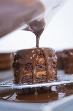 Chocolate coating is poured onto a small cake that is placed on a grid, Vegan Tartchen Production,