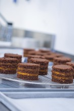 Small chocolate cakes with filling on a cake rack in a kitchen, vegan cake production, Haselstaller