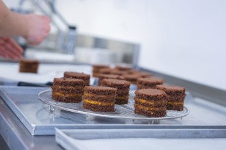 Hands working with small chocolate cakes on a grid in the kitchen, vegan cake production,