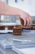 Hand places cookies on a grid in the kitchen, vegan cake production, Haselstaller Hof, Gechingen,