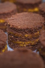 Close-up of chocolate cake with yellow layers, vegan cake production, Haselstaller Hof, Gechingen,