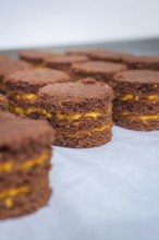 Several chocolate cakes with yellow layers on a tray, vegan cake production, Haselstaller Hof,