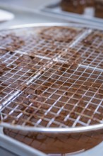 A chocolate grid on a metal net to dry chocolate, vegan cake production, Haselstaller Hof,