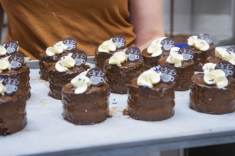 Several small cakes on a tray, held by person wearing a brown T-shirt, vegan cake production,