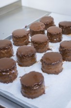 Several chocolate-glazed cakes stand clean on a paper-lined baking tray, Vegan Tart Production,