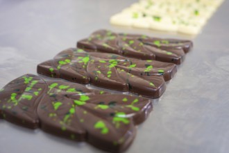 Decorative chocolates with green pattern on brown chocolate, arranged on a smooth surface, vegan