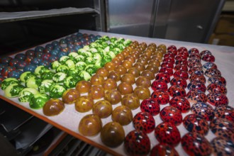 Different colored chocolates arranged on a tray, Easter production of regional products,