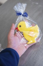 Yellow duck cookie is held in the hand, wrapped in transparent film with blue ribbon, Easter