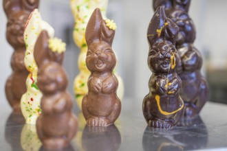 Various chocolate Easter bunnies in an Easter mood, Easter production of regional products,