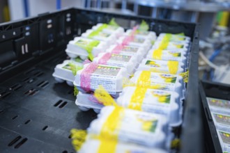 Egg boxes with yellow and pink ribbons in a black box from different perspectives, chocolate quail
