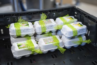 Several egg boxes with green ribbons packed in a black box, chocolate quail eggs, Easter