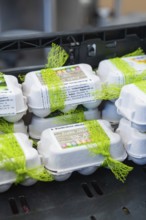 Easter wrapped egg cartons with green decoration in a kitchen, chocolate quail eggs, Easter