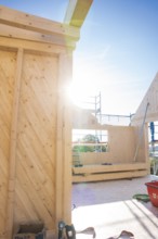 Sunlight floods the construction site's timber structure with visible scaffolding, Timber House