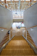 Wooden staircase overlooking a glass wall in a bright, modern building, Schlehengäu Sporthalle