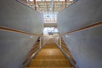 Wooden staircase with concrete walls in a modern public building, Schlehengäu Sporthalle Gechingen,