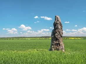 The menhir of Benzingerode, with a height of 3.85 m the largest prehistoric menhir in northern