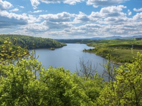 View of the Rappbode Reservoir in the Harz Mountains, Wendefurth, Saxony-Anhalt, Germany