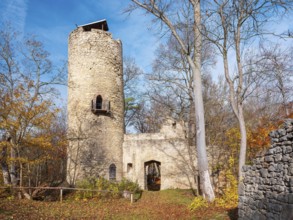 The ruins of Schauenforst Castle in autumn, near Rödelwitz, OT of Uhlstädt-Kirchhasel,