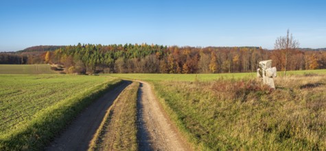 Medieval stone cross on the edge of the field in autumn, dirt road through autumn landscape,