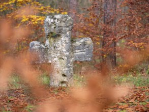 Medieval stone cross in the forest in autumn, atonement cross, murder cross, court cross, Spaal