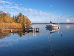 Jetty and sailboat at Schaalsee in morning light, reeds in autumn colors, Schaalsee Biosphere