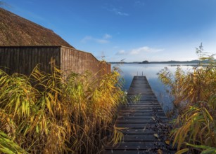 Jetty and boathouse at Schaalsee in morning light, reeds in autumn colors, Schaalsee Biosphere
