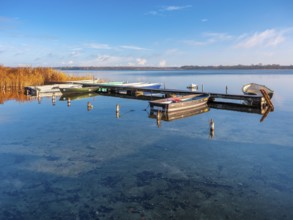 Jetty with rowing boats at Schaalsee in morning light, reeds in autumn colors, Schaalsee Biosphere