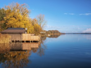 Shore with boathouses on Schaalsee in morning light, reeds and trees in autumn colors, Schaalsee