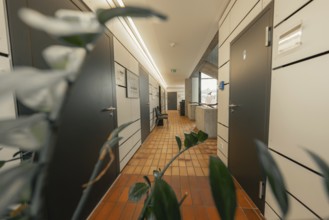 Modern corridor in office building with plants and doors, bright lighting, interior view, Gechingen