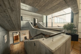 Modern interior with concrete and wood, staircase elements and plants, Gechingen Town Hall, Calw