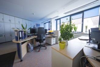 Desks with plants in a modern office environment with large windows, Gechingen Town Hall, Calw
