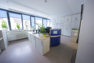 Office with large work area, desks and plants in front of large windows, Gechingen Town Hall, Calw