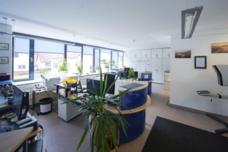 Modern office with desks, computers and plants in front of large windows, Gechingen Town Hall, Calw
