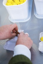 Person packs chocolate eggs with yellow and brown wrappers into containers, chocolate quail eggs,
