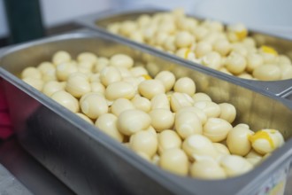 Lots of boiled eggs in stainless steel containers on a kitchen table, chocolate quail eggs, Easter