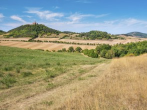 View of hilly landscape with meadows, fields and forests of Wachsenburg Castle and the ruins of