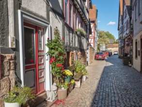 Narrow alley with half-timbered houses and cobblestones in the historic old town of Büdingen,