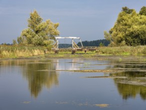 Traditional wooden bridge, folding bridge, across the Trebel River in the Trebel Valley, Peenetal