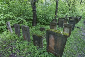 Tombstones at the Jewish cemetery in Lezajsk, Poland