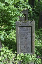 Tombstones at the Jewish cemetery in Lezajsk, Poland